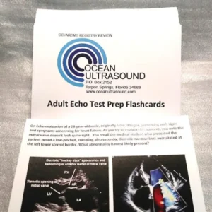 NEW-Echo Flash Cards